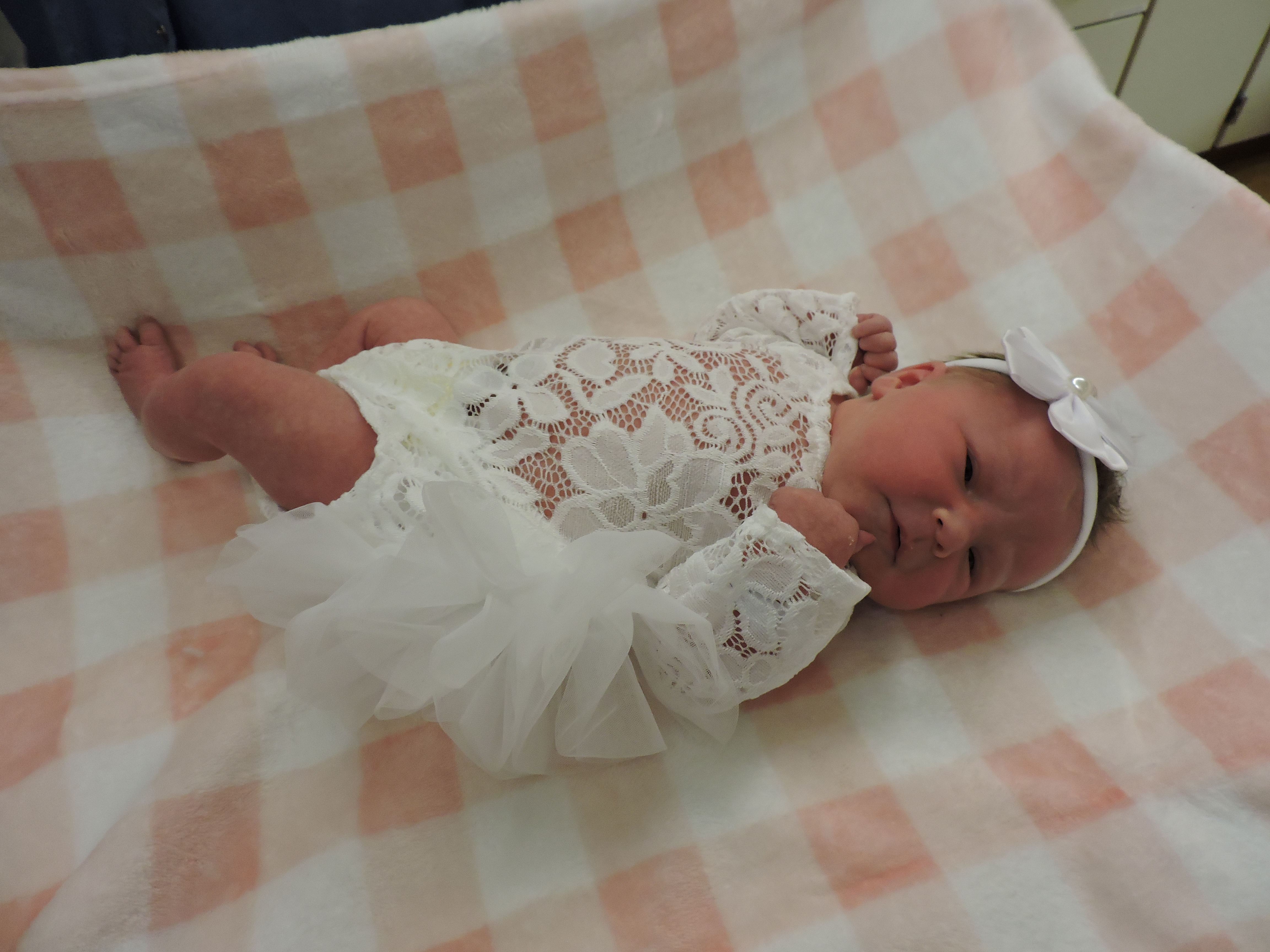 Elmira Lynn